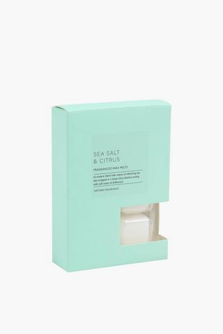 Sea Salt And Citrus Wax Melt, 7x8cm