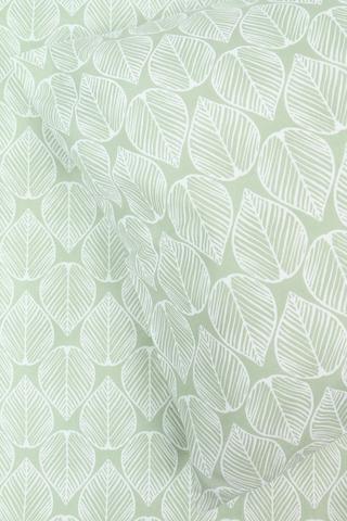 Soft Touch Ravenswood Botanic Euro Continental Pillowcase