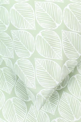 Soft Touch Ravenswood Botanic Euro Continental Pillowcase