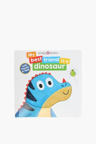 My Best Friend Is A Dinosaur Book