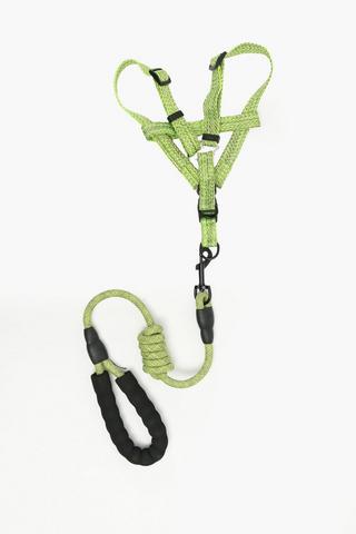 Pet Leash And Harness 1.5 X 1.2m