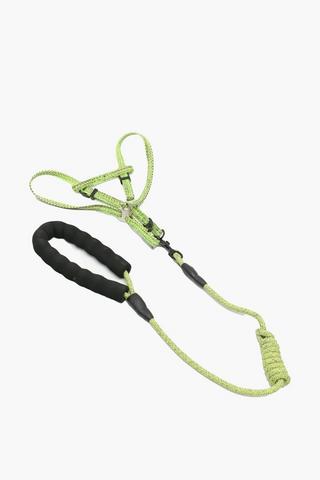Pet Leash And Harness 2 X 1.2m
