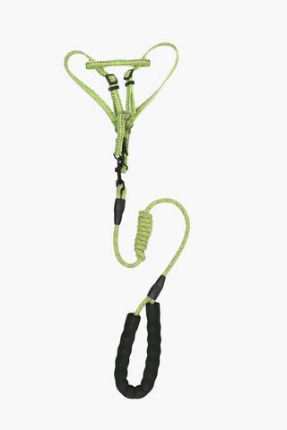 Pet Leash And Harness 2 X 1.2m