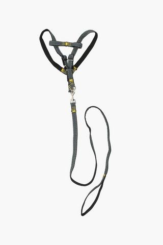 Pet Leash And Harness 1 X 1.2m