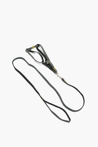 Pet Leash And Harness 1.5 X 1.2m