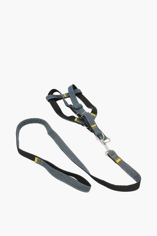 Pet Leash And Harness 2 X 1.5m