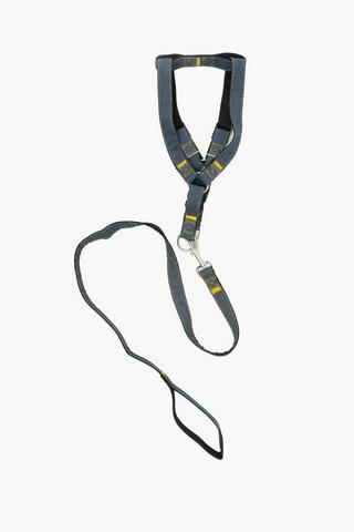 Pet Leash And Harness 2 X 1.5m