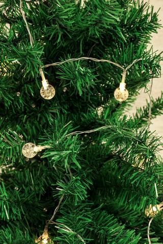 Warm White Bulb String Lights, 3,15m