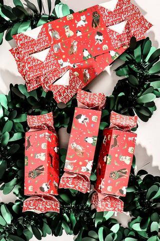 6 Pack Besties Cracker Gift Boxes