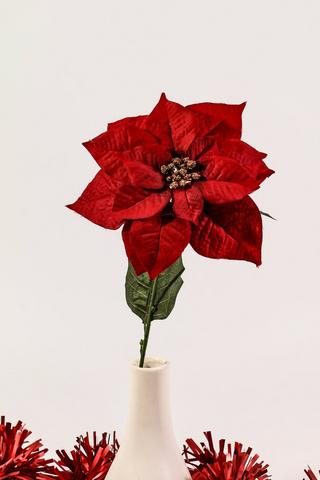 Poinsettia Single Stem, 70cm