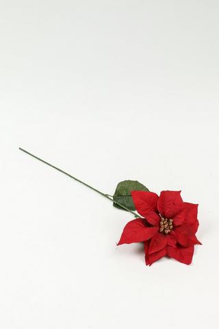 Poinsettia Single Stem, 70cm