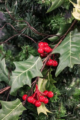 Holly Berry Garland, 150cm