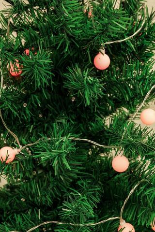 Red Bulb String Lights, 3,15m