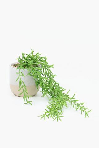 Trailing Greenery Potted, 13x8cm