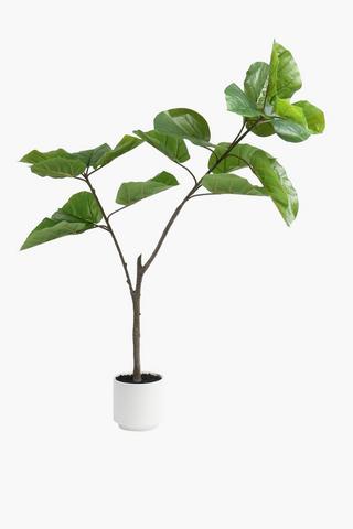 Heart Leaf Tree Plant, 17x132cm