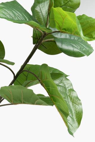 Heart Leaf Tree Plant, 17x132cm