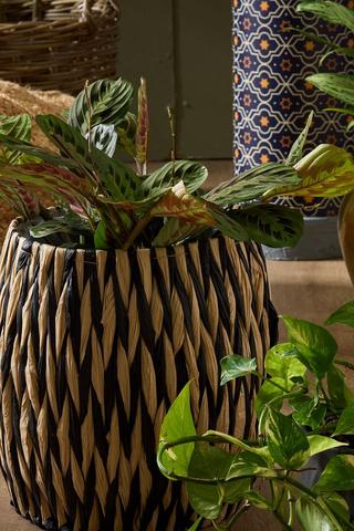 Wicker Weave Planter, 27x32cm