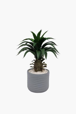 Ripple Pot Pineapple Plant, 32x34cm