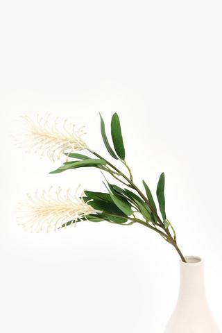 Banksia Single Stem, 68cm