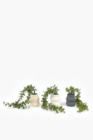 Assorted Trailing Bobble, 25x6cm