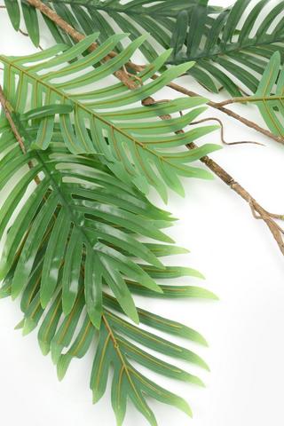 Jungle Fern Single Stem, 110cm