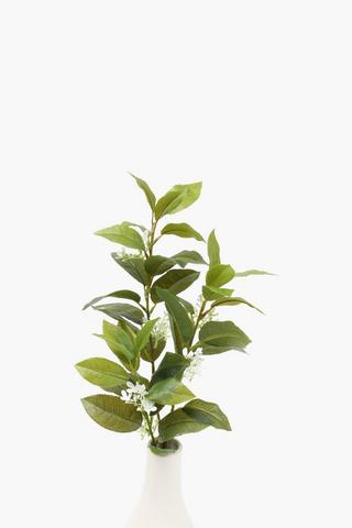 Flowering Leaf Single Stem, 70cm