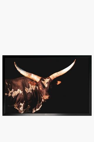 Framed Longhorn, 40x60cm