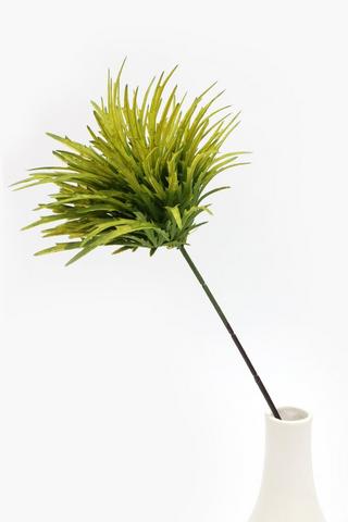 Claw Leaf Single Stem, 58cm
