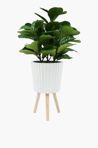 Fiddle Tree Standing Pot, 30x107cm