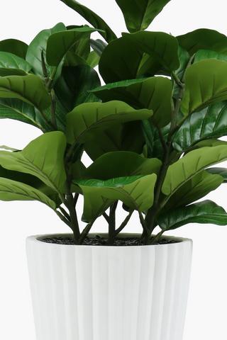 Fiddle Tree Standing Pot, 30x107cm