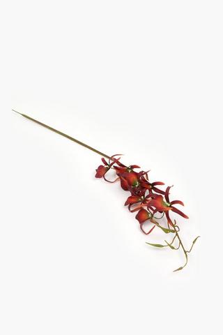 Tiger Orchid Single Stem, 76cm