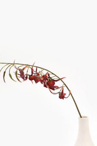 Tiger Orchid Single Stem, 76cm