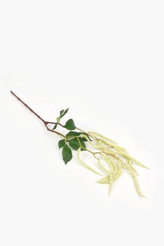 Amaranthus Single Stem, 92cm