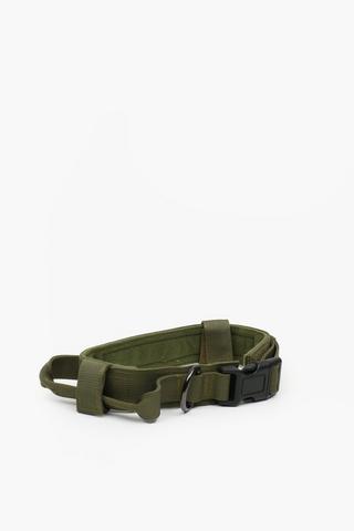 Fatigue Pet Collar Medium