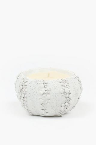 Sea Shell Candle, 600g