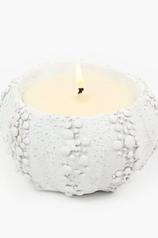 Sea Shell Candle, 600g