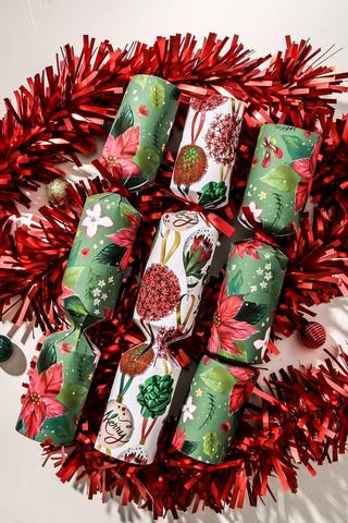 6 Pack Berry Christmas Crackers