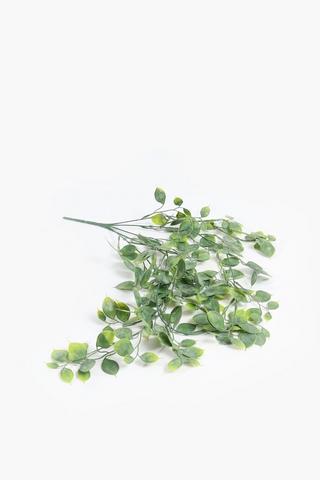 Sedum Trail Single Stem, 78cm