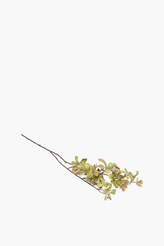 Enkianthus Leaf Single Stem, 86cm