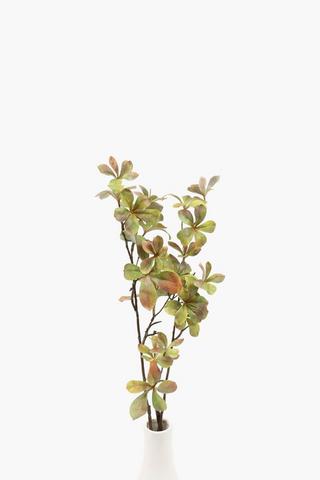 Enkianthus Leaf Single Stem, 86cm