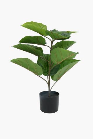 Large Leaf Potted Plant, 75cm