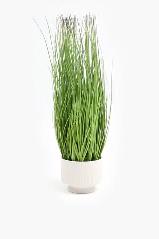 Rib Potted Grass, 12x51cm