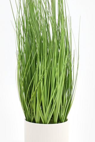 Rib Potted Grass, 12x51cm