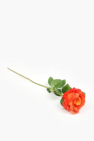Rose Single Stem, 54cm