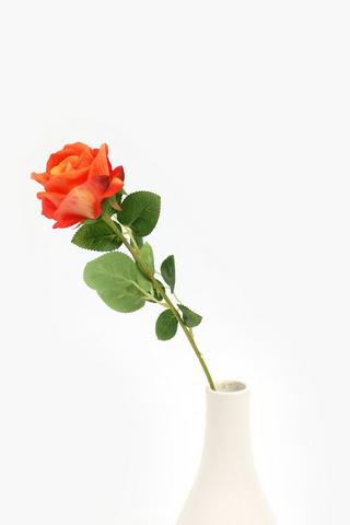 Rose Single Stem, 54cm