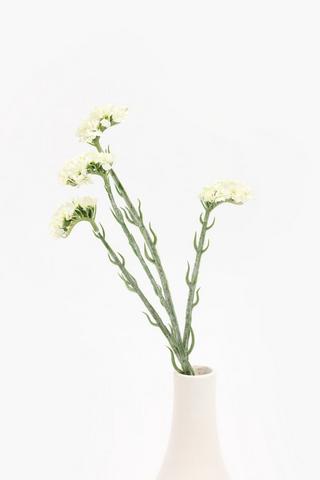 Winter Sweets Single Stem, 70cm