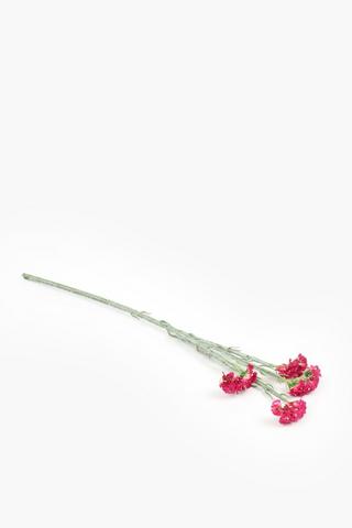 Winter Sweets Single Stem, 70cm