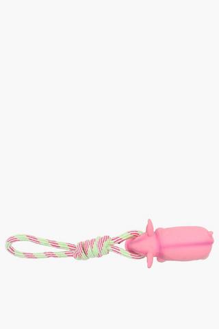 Pig On Rope Pet Toy