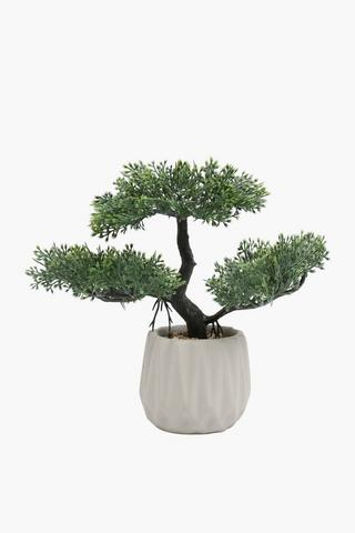Bonsai Potted Plant, 9x23cm
