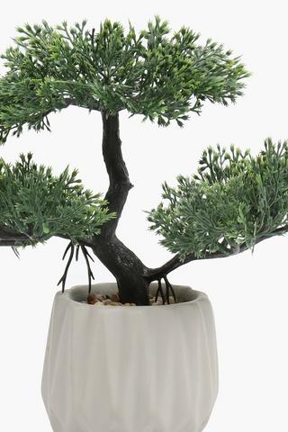 Bonsai Potted Plant, 9x23cm